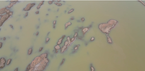 ladbrokes立博-公司官网