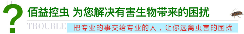 万事博控虫 为您解决有害生物带来的困扰